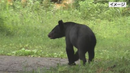 【熊の目撃情報】小野町雁股田の県道・矢吹小野線　体長1メートル程の熊1頭・福島県