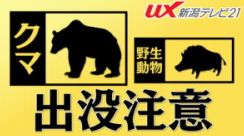 南魚沼市の民家近くでクマの目撃【新潟】