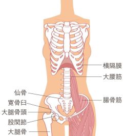 【40代、50代・リンパケアでずっときれい＆ずっと健康】横隔膜を緩めることが、リンパケアの第一歩！