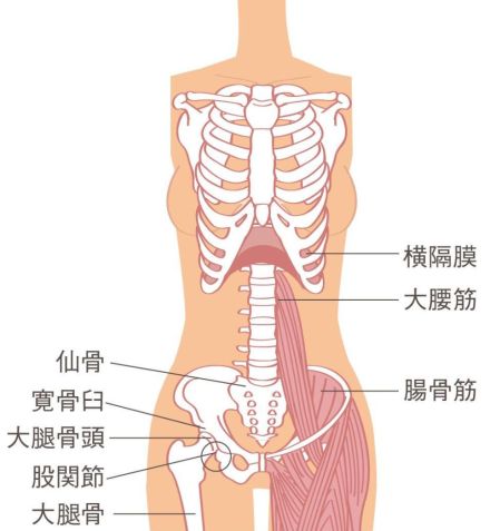 【40代、50代・リンパケアでずっときれい＆ずっと健康】横隔膜を緩めることが、リンパケアの第一歩！