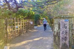 駅チカで三重塔が建つ旧別荘地の庭園を巡る、贅沢な大人の時間を嗜む茅ヶ崎「高砂緑地」散策