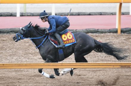 【オークス】3着ライトバック、「2400メートルもったのはうれしい」茶木師は喜ぶ「重賞というよりG1を勝ちたい馬なので」