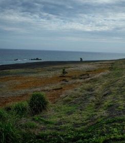 多くの日本人が無関心だった「戦没者遺骨収集」…ある日突然、世論が沸騰した「決定的な理由」