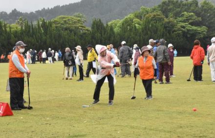 はつらつプレーに笑顔　宮崎県内２０会場でねんりんピック