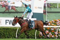 【安田記念登録馬】ロマンチックウォリアーが１８年ぶり外国馬Ｖへ　セリフォスら迎え撃つ日本勢も虎視眈々