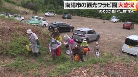 “上物”ワラビが採れる「小滝わらび園」大盛況　平日にもかかわらず県内外から多くの人でにぎわう【山形発】