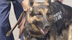 「地元の警察署に嘱託犬がいるというのは非常に心強い」　シェパードを嘱託警察犬に任命　去年9件の行方不明者の捜索や発見に貢献　島根県川本町