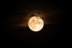 オレンジに輝く、5月の満月「フラワームーン」の最も美しい姿を見るには
