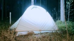 テントにたかる「害虫」の大群、キャンパーが撮影した「トラウマ映像」にネット戦慄（海外）
