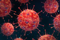 この夏流行の兆し？新型コロナの変異ウイルス「FLiRT（フラート）」について、対策と注意点を米専門家医が解説