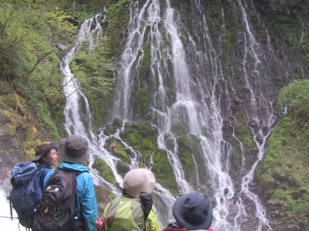 「五色ヶ原の森」シーズンイン！　高山市の乗鞍岳山麓に広がる森林地帯をトレッキング