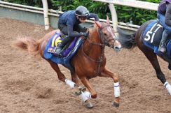 【日本ダービー・先手必勝】舞台替わりは大歓迎！　ビザンチンドリーム夢馬券への〝全貌〟解説