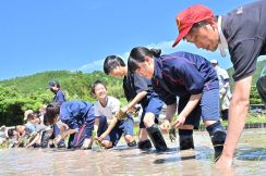 地域の田んぼ未来へ　旅行会社が維持に協力、和歌山県田辺市の近露地区