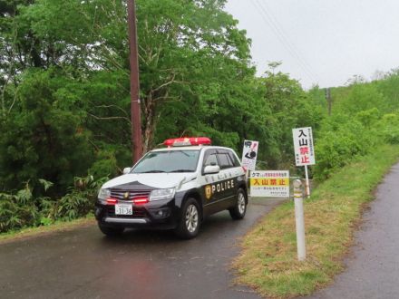 「旬のタケノコを巡り人とクマ鉢合わせも」　秋田の襲撃現場