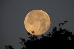 5月の満月「フラワームーン」と赤色巨星アンタレス、今週の夜空