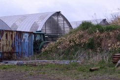 「第2のOSO」出現？　ヒグマに襲われたか、子牛8頭死傷　北海道