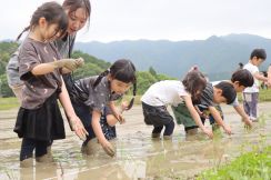 給食の米、自分の手で　都市部の園児が田植え体験　泥だらけで「ぬるぬる」／兵庫・丹波市