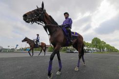 【日本ダービー】ジャスティンミラノ　舞台に不安なし　友道師「いい状態で当日を迎えられれば」