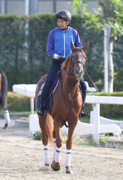 【日本ダービー】ビザンチンドリーム　身が入った感じ、陣営「舞台は合いそう」