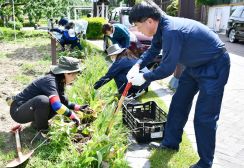 400人が協力し手入れ  りんご並木  小中学生や住民有志ら摘果や球根掘り出し【長野県】