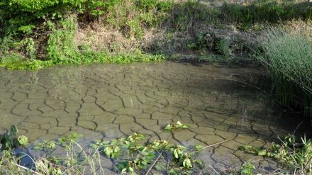 リニア工事で水位低下、岐阜県が首長会議開催へ　沿線７市町と連携