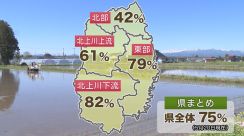 過去10年で最も早く作業が進む　岩手県内の田植えの進捗状況（5月20日現在）