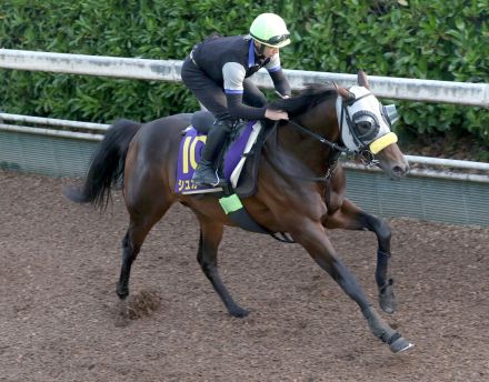 【日本ダービー】武豊騎手と参戦するシュガークンは坂路でパワフルな脚取り　清水久調教師「申し分ない」