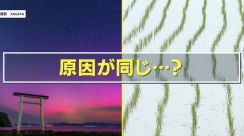 【異変】真っすぐなはずの田植えの列に“ずれ”出現 オーロラと同じ「太陽フレア」の影響か？