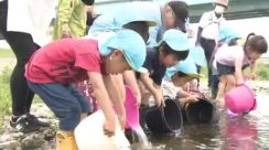 「鯉になってほしい！」保育園児が重信川にアユの稚魚放流