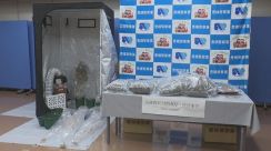 営利目的で乾燥大麻所持か　大麻草栽培の疑いも　男（30）逮捕　愛知県警