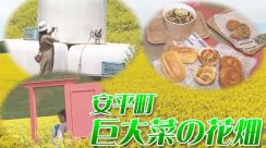 仕掛けいっぱい！見ごろを迎えた広大な菜の花畑で贅沢三昧