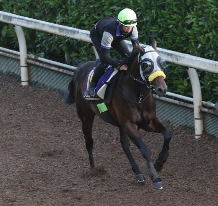 【日本ダービー】シュガークン　輸送考慮して“サッと”坂路単走、清水久師「申し分ない状態」