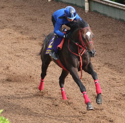 【日本ダービー】エコロヴァルツ　メリハリ強調、牧浦師「前回より一段上がった状態で臨める」