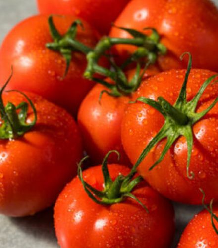 トマトは「見切り品」が食べごろ。飛田和緒が伝授、完熟トマトを美味しく使い切る「超簡単」な技