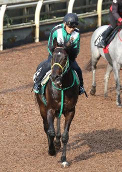 マイネルウィルトス、しっかり伸びてラスト11秒６　宮師「力出せる状態」／目黒記念