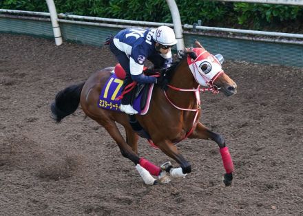 【日本ダービー】ミスタージーティー、小気味いいフットワーク　矢作師「機嫌はよさそう」