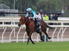 【安田記念】香港馬２頭は順調に調整進む。24日は２頭ともゲート審査を受ける予定