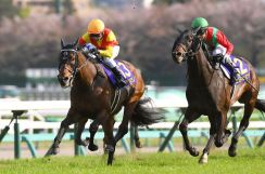 【日本ダービー】世代の頂点に立つのは？皐月賞馬ジャスティンミラノは７枠１５番、牝馬レガレイラは１枠２番　枠順確定