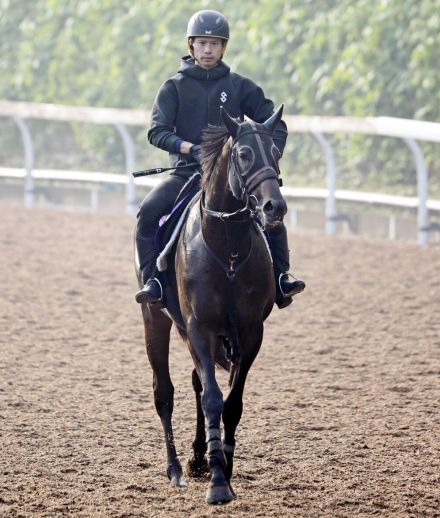 【日本ダービー】皐月賞２着のコスモキュランダは希望の３枠６番をゲット！　加藤士調教師「内なら３枠くらいまでがいいと思っていた」