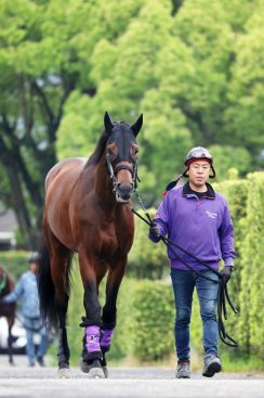 【日本ダービー】無敗の２冠を目指すジャスティンミラノは７枠１５番 　陣営「周りの様子をみながらレースを」