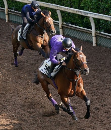 【目黒記念】サトノグランツ、迫力あふれる３馬身先着　友道師「体もシャープ」