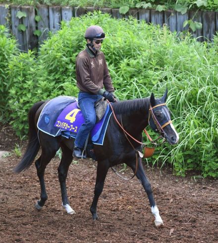 【日本ダービー】堀厩舎のダノンエアズロックは❺枠⑨番　ゴンバデカーブースは❼枠⑭番