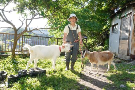 ヤギと一緒に人生の“みちくさ”を……幼き日にヤギに救ってもらった女性の決心