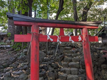 高田馬場にあるらしい高田富士を探して歩く【プロハイカー斉藤正史のTOKYO山頂ガイド】