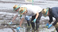 宿泊客においしいコメを　東京都内のホテルの料理人が南陽市で田植え　「感動を伝えたい」