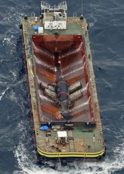 「違法性を認識した無効な契約」　クジラの「淀ちゃん」処理費巡り、住民グループが賠償請求