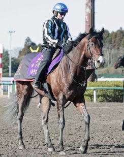 【注目馬動向】２０２２年の朝日杯ＦＳを勝ったドルチェモアが栗東・高橋一哉厩舎に転厩