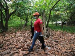 猛暑が続くメキシコ、絶滅危惧種のサルたちが暑さのあまり木から落ちて死んでいる（海外）