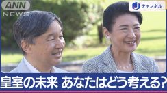 安定的な皇位継承 議論“現在地”は　街の人はどう考える？