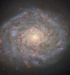 つむじを連想する“かみのけ座”の渦巻銀河「NGC 4689」　ハッブル宇宙望遠鏡が撮影